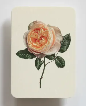 Canonbury Press Peach Rose Greeting Card